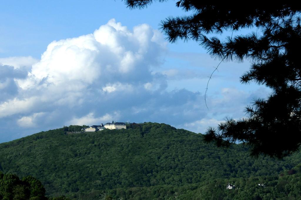 Hotel Dahl Wachtberg Εξωτερικό φωτογραφία
